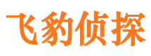 萧县市侦探公司